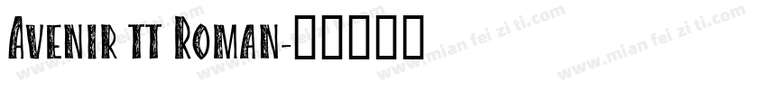 Avenir tt Roman字体转换